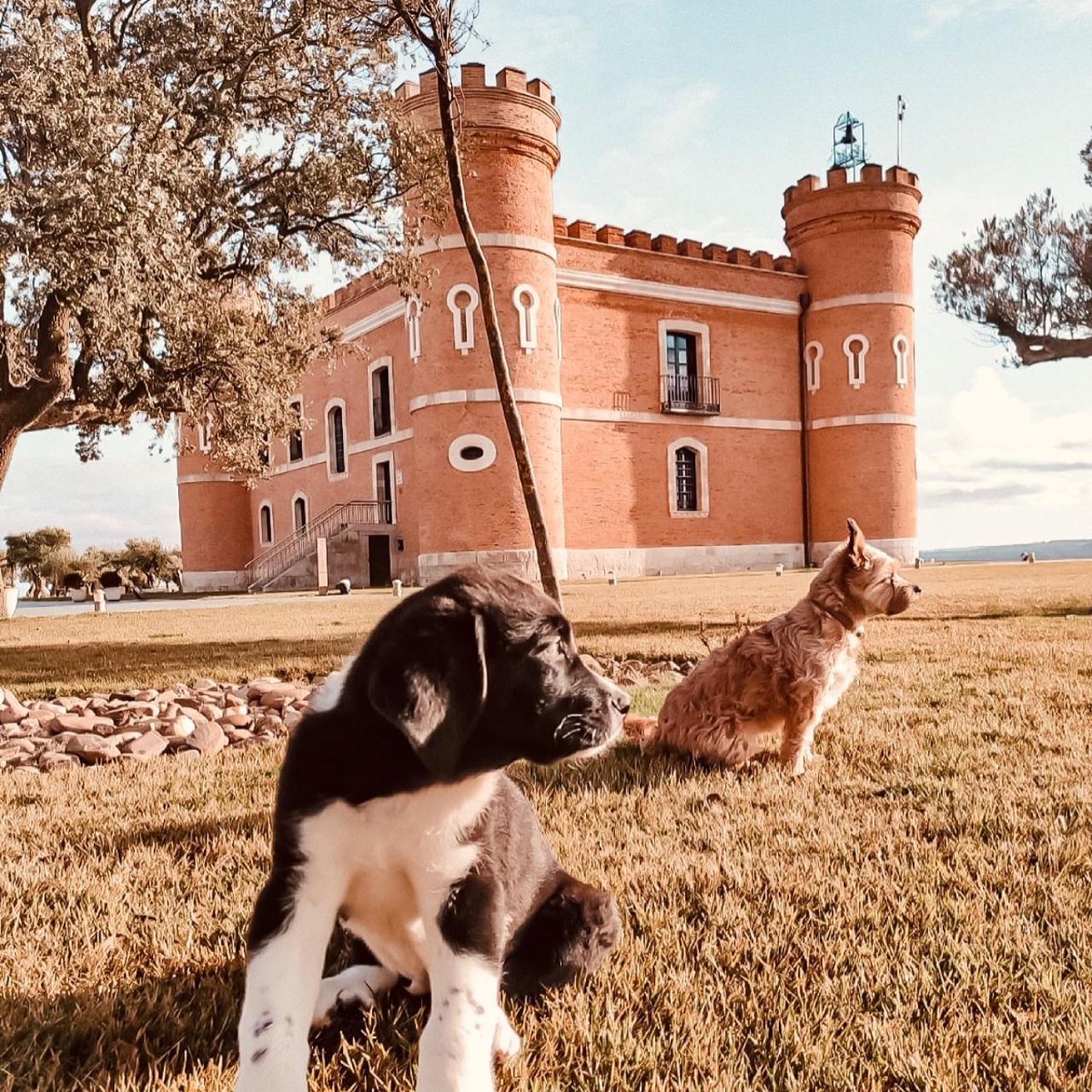 Castillo De Monte La Reina Posada Real & Bodega Toro Luaran gambar
